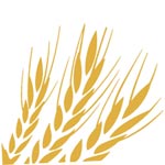 RIMMY AGRO EXPORT Logo