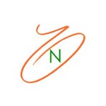 noyeroverseas Logo