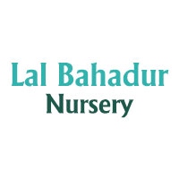 Lal Bahadur Nursery Logo