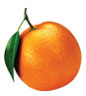 Orange Biotech pvt. ltd.