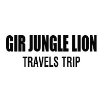 Gir Jungle Lion Travels Trip Logo