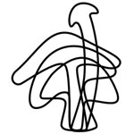 MycoForest Logo