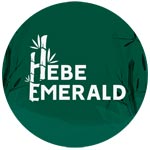 Hebe Emerald Pvt Ltd Logo