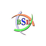 B S Engineering Works Logo