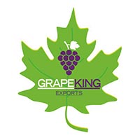 Grape King Exports Logo