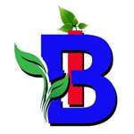 Blu Impex Logo