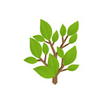 Sri Meenakshi Adivasi Herbal Product Logo