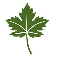 Green Globe Exports Logo