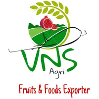 VNS Agri Fruits And Foods Exporter Logo