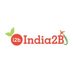 india2b Logo