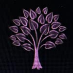 Mahadev The Online Hub Logo