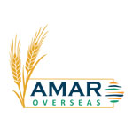 Amar Overseas Logo