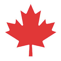 Maple International Logo