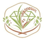 Diamond global export