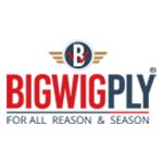 Bigwig plywood Logo