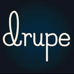 Drupe Foods India Pvt Ltd Logo