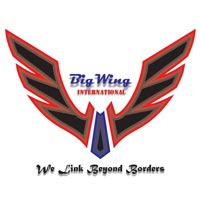 BigWing International Logo