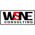 WSNE Consulting Logo