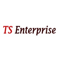 TS Enterprise Logo