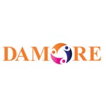 Damore Solutions Logo