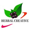 Herbal Creative Logo