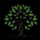 Bodhana Export Private Limited Logo