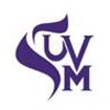 Synergy UV Metallising Logo