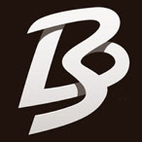 Bisons International