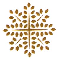 The Paper Company Logo