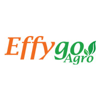 Effygo Agro Logo