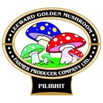Leeward Golden Mushroom Farmer Producer com. Ltd. Logo