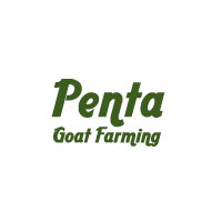 Penta Export House Logo
