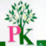 PK Collection Logo