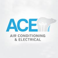 ACE Indian Engineers Logo