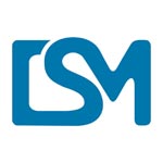 Digital Solution Media Logo