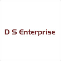 D S Enterprises Logo