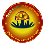 Global mushroom farm Logo