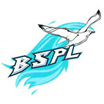 Brilliant Seagull Pvt Ltd Logo