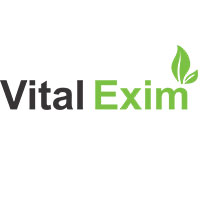 Vital Exim Logo
