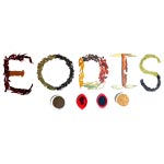 EODIS INDIA PVT LTD Logo