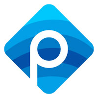 Punik Services OPC Private Limited Logo
