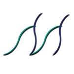 M.A.N Trading Logo