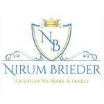 Nirum Brieder Industries Pvt. Ltd. Logo