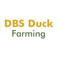 DBS Duck Farming