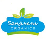 Sanjivani Wellness Hub Logo