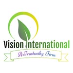 VISION INTERNATIONAL Logo