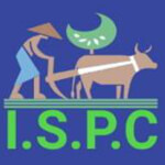 International Service Provider & Company Logo