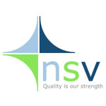 Natural Stone Vision Logo