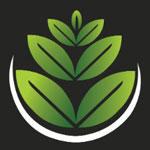 Farm Fresh Iternational Logo