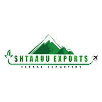 Shtaauu Exports